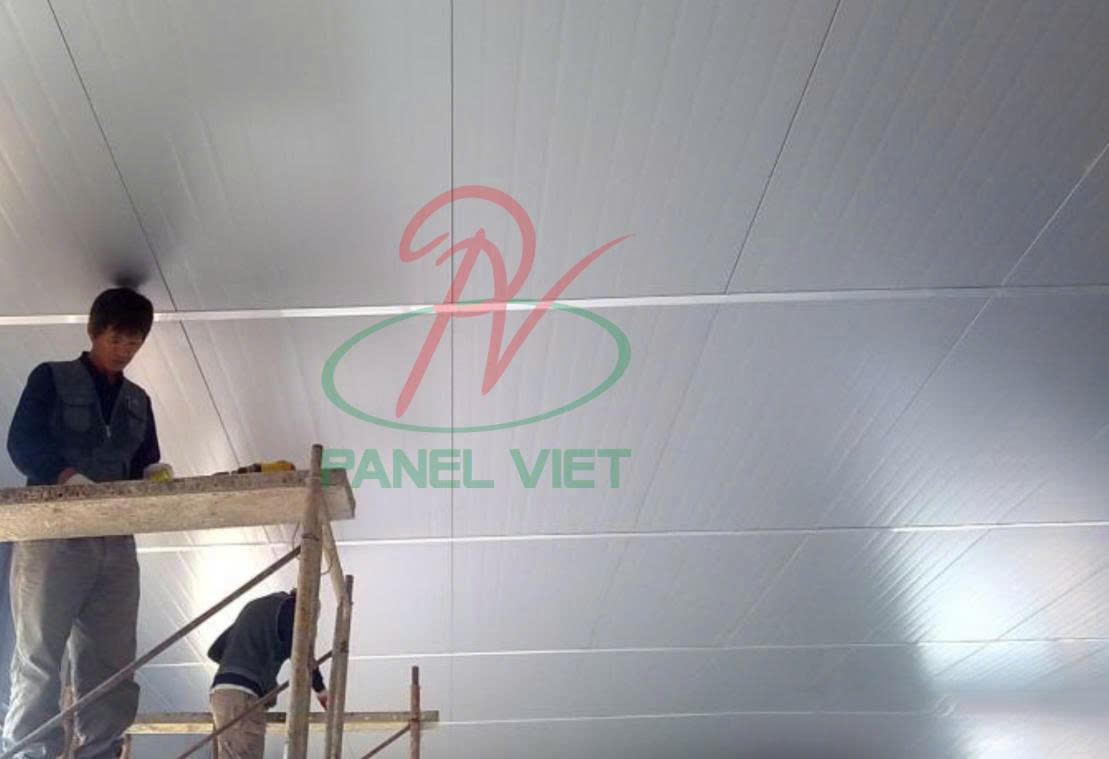 Các Loại Trần Tôn
