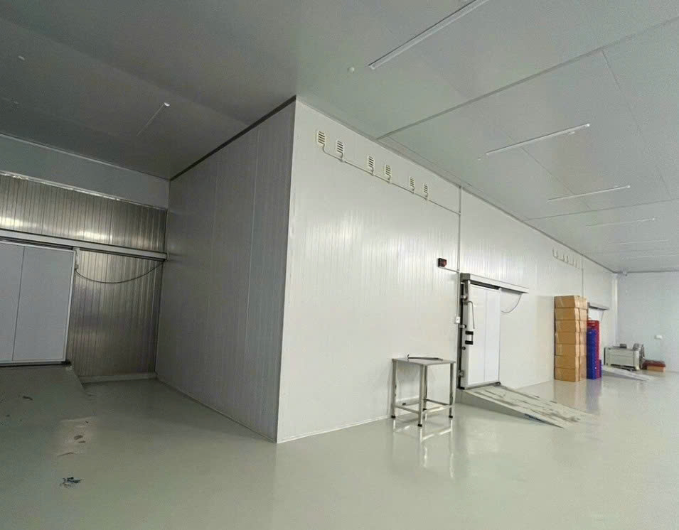 vách panel kho lạnh Bình Dương giá rẻ